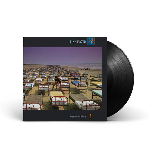 Pink Floyd - A Momentary Lapse Of Reason LP